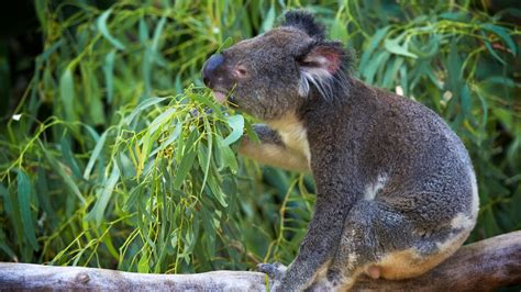 10 TOP Things to Do in Whitsunday Islands (2021 Activity Guide) | Expedia