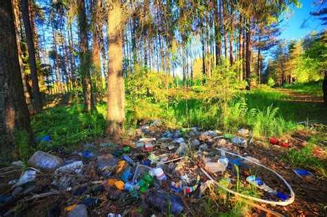 Premium Photo | Forest garbage dump ecology concept, pollution nature protection of forest from ...