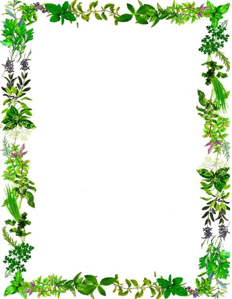 Border, Herbs | Floral border design, Herbs, Floral border