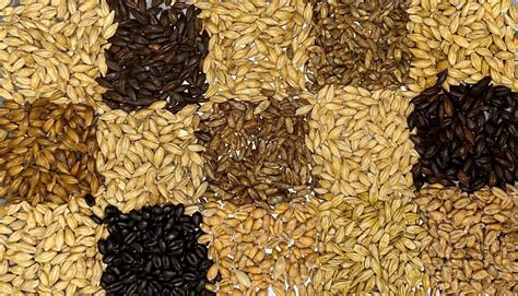 All Grain Recipe Kits | Border Brewing Supplies