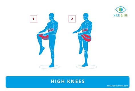 High Knees, See & Be Fitness Static Cling Decal. Muscle groups exercised are highlighted. # ...