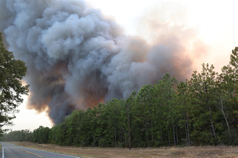 Louisiana’s largest wildfire blamed on arson • Louisiana Illuminator