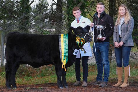 Northern Ireland Calf Show Results - Aberdeen-Angus Cattle Society