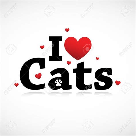 I Love Cats