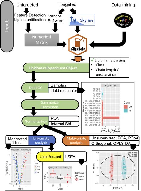 Data Mining and Analysis of Lipidomics Datasets • lipidr