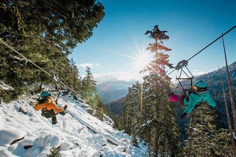 TripAdvisor | Whistler Superfly Ziplines provided by The Adventure Group | British Columbia