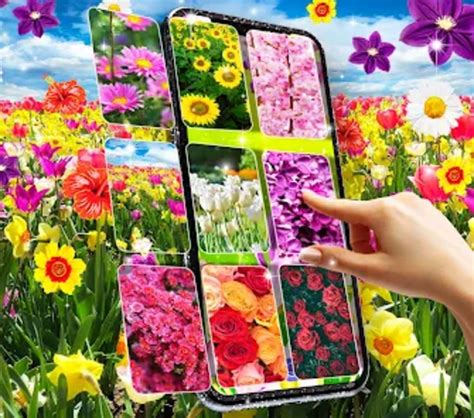 Flowers live wallpaper สำหรับ Android - ดาวน์โหลด