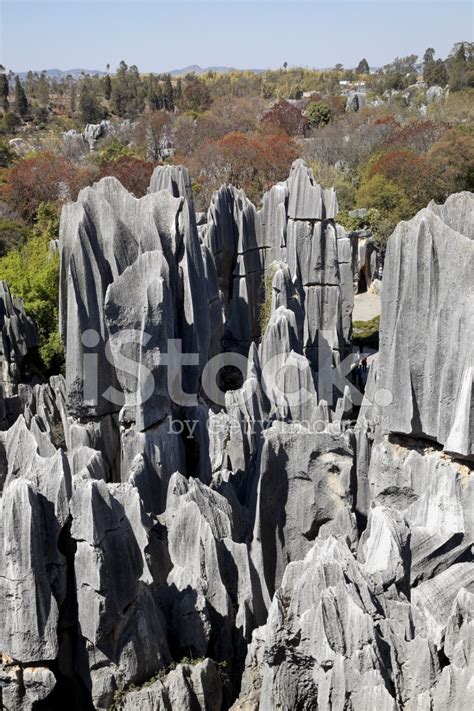 Stone Forest, Kunming, China Stock Photo | Royalty-Free | FreeImages