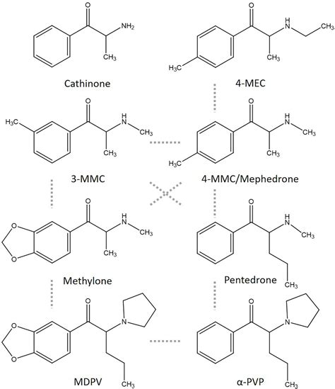 Frontiers | Hazard Characterization of Synthetic Cathinones Using Viability, Monoamine Reuptake ...