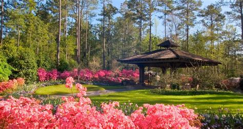 Callaway Gardens in Pine Mountain is Just an Hour From Atlanta