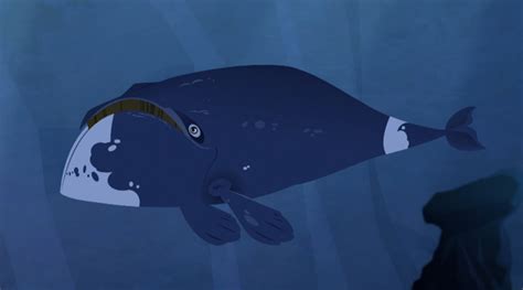 Image - BowheadWhale.jpeg.png | Wild Kratts Wiki | FANDOM powered by Wikia