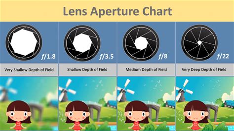 Camera Lens Guide: Which Lens Should You Use? - KewlTek Photography