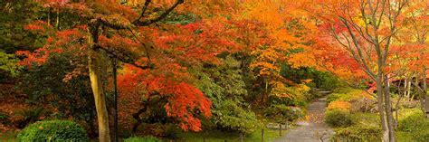 5 best places in Washington to see fall colors | Premera Blue Cross