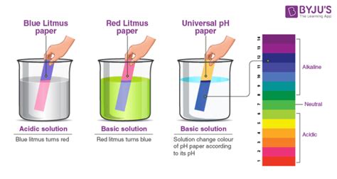 What Color Does Blue Litmus Turn in the Presence of an Acid - Curran Deds1978