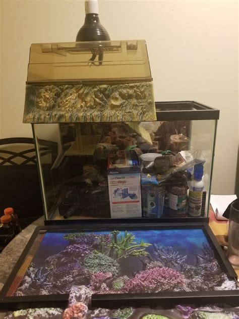 20 gallon reptile tank with metal stand for Sale in Springfield, MA - OfferUp