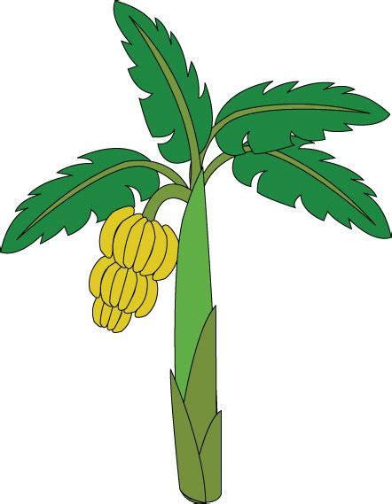 Treklens Think Banana Tree Photo - ClipArt Best - ClipArt Best | Banana tree, Photo tree, Tree ...