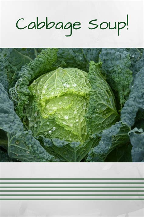 Healthy Cabbage Soup Recipe | Beneficios da couve, Couve, Dietética