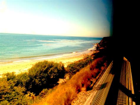 Amtrak Coast Starlight Review | Pommie Travels