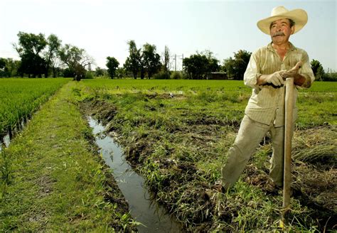 produce-stand-in-cuernavaca - Morelos Pictures - Morelos - HISTORY.com