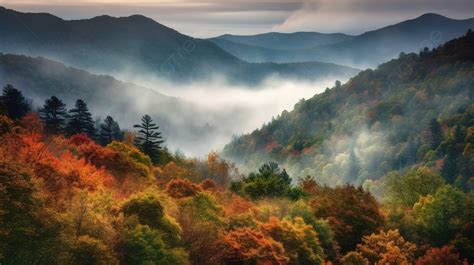 View Of Mountains Covered In Autumn Leaves With Fog Background, Fall ...