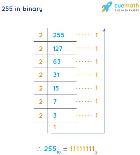 255 in Binary - How to Convert 255 from Decimal to Binary?