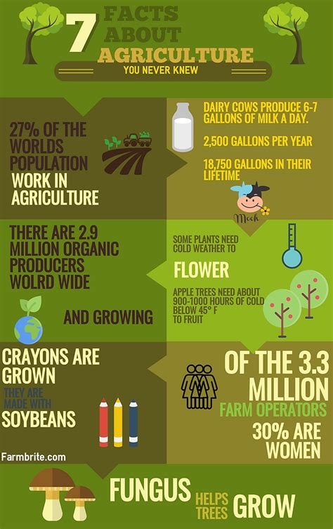 7+ Interesting facts about agriculture