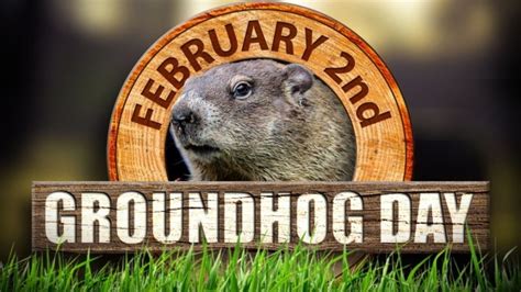 It’s Groundhog Day! | WOODTV.com