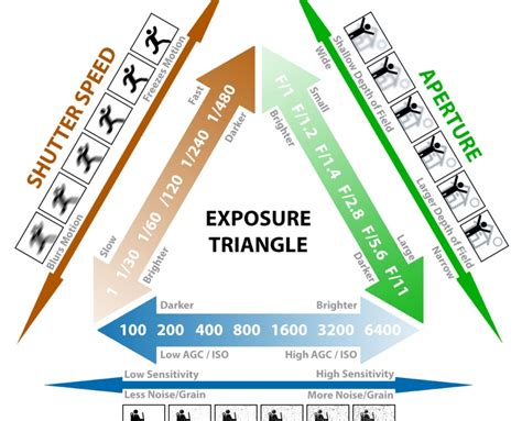 What is Camera Exposure? (Beginner's Guide) - Linespex.com