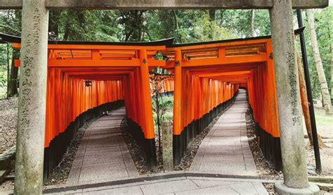 Fushimi Inari Shrine: What Makes it Japan's No. 1 Attraction? | Japan ...