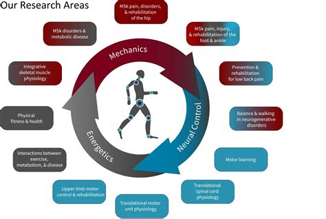 PhD in Movement Science - Program in Physical Therapy