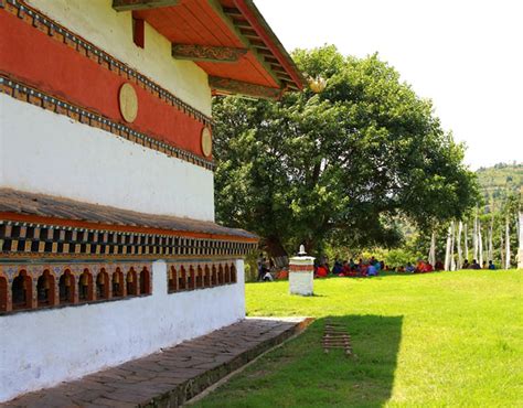 Punakha Weather and Climate: Best Time to Visit Punakha, Bhutan 2024