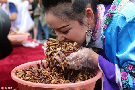 Brave enough to eat insects? 🤔... - China Plus Culture | Facebook