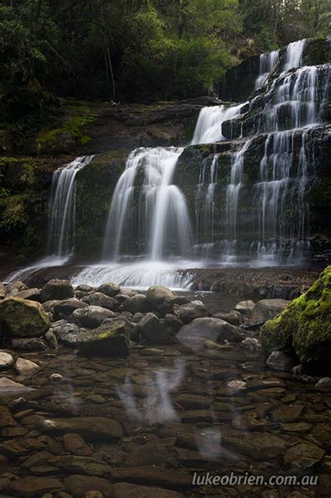 Liffey Falls Tasmania - Luke O'Brien Photography