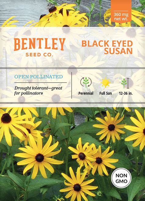 Black-Eyed Susan Seed Packets | Bentley Seeds