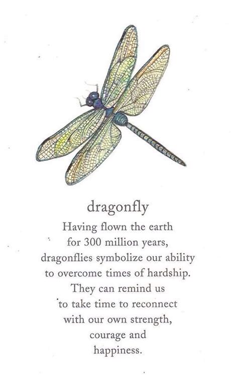 Pin by Gail on Dragonfly Art | Dragonfly quotes, Words, Inspirational ...