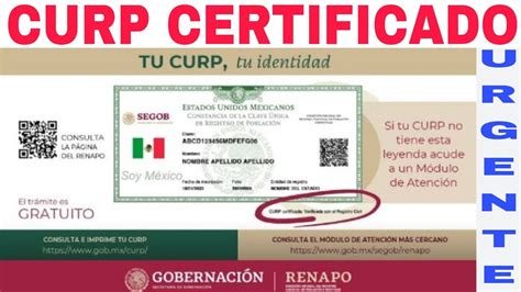 Como Es El Curp Actualizado 2023 - Image to u