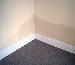 Ways of Damp Proofing Internal Walls In Your Property