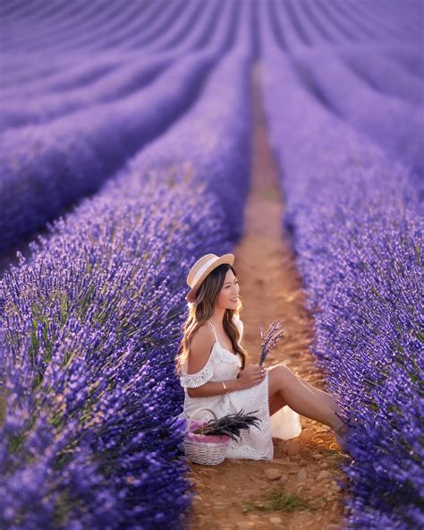 QUICK GUIDE TO AIX-EN-PROVENCE in 2020 | Lavender fields france ...