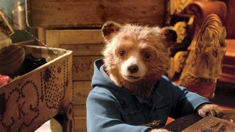 Paddington Movie Quotes to Use as Instagram Captions