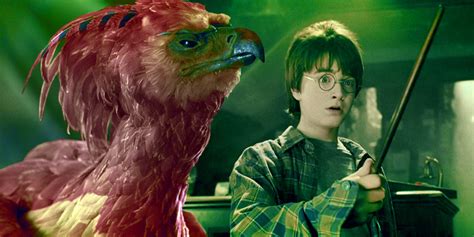 15 Things You Didn't Know About Wand Cores In Harry Potter