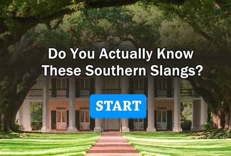 Do You Actually Know These Southern Slangs? – Surveee