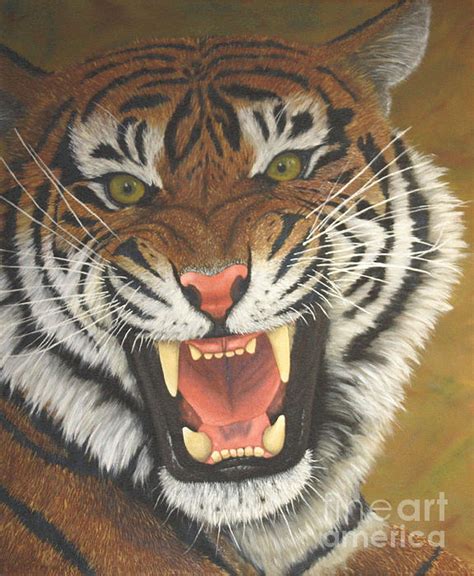 Tiger Roaring Drawing at GetDrawings | Free download