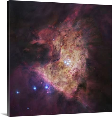 The center of the Orion Nebula, known as the Trapezium Cluster Wall Art, Canvas Prints, Framed ...
