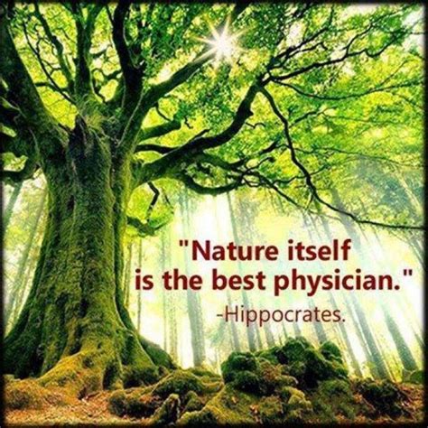 Pin by Candace Arnold on Magick | Natural medicine quotes, Nature ...