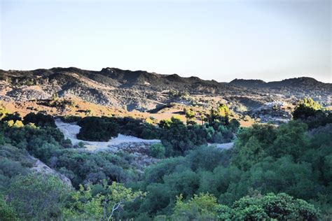 Hiking with Rover in Topanga Canyon. | Topanga Creek Outpost Adventure ...