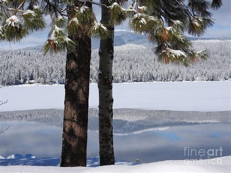 Payette Lake Winter, McCall Idaho Art Print Photograph by Art Sandi ...