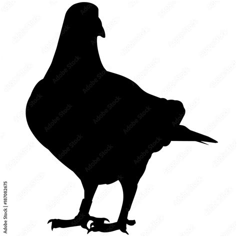 Pigeon Silhouette Vector Graphics Stock Vector | Adobe Stock