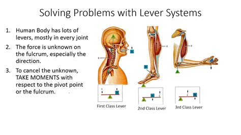 How to Solve Lever Problems - YouTube