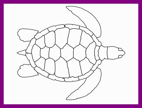 Simple Sea Turtle Drawing at PaintingValley.com | Explore collection of Simple Sea Turtle Drawing