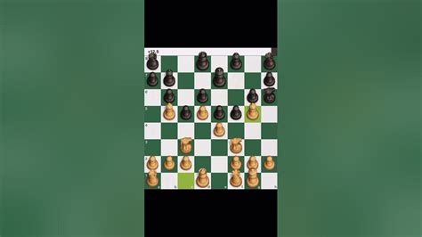 Chess Basics: Skewer - YouTube